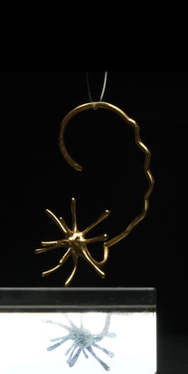 LOT 005